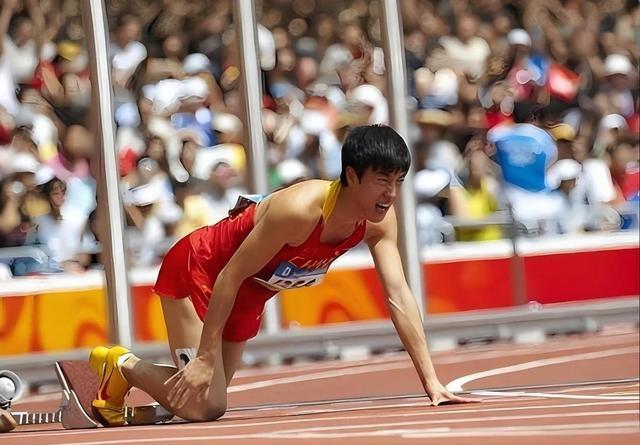 刘翔8次T禁赛1场6结果意外(刘翔因伤退赛几次)