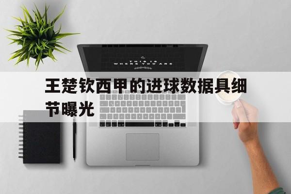 王楚钦西甲的进球数据具细节曝光(王楚钦被裁判问比分视频)